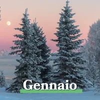 Viaggi di gruppo a gennaio